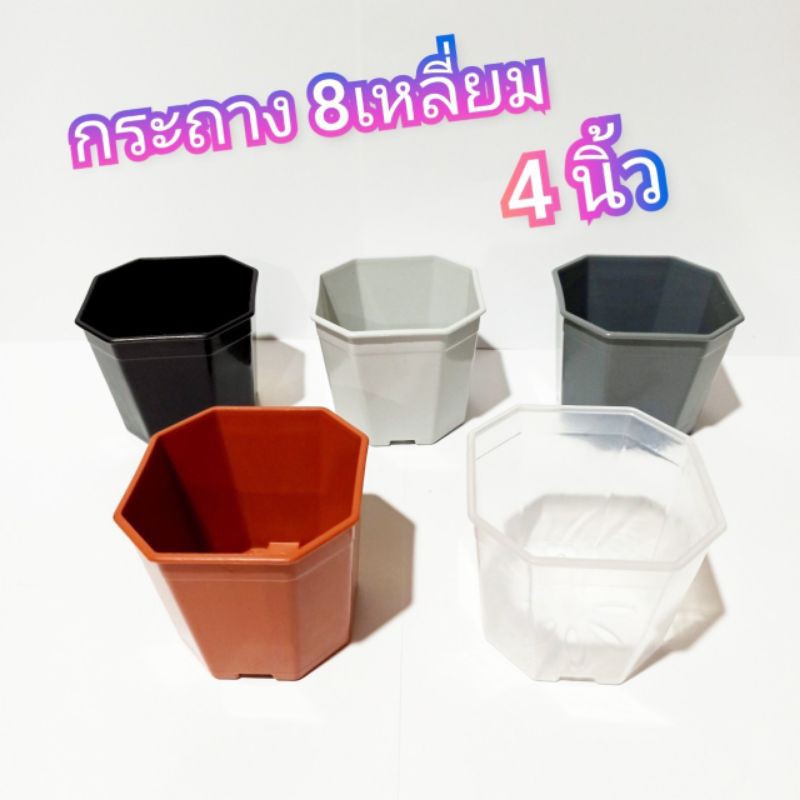 กระถาง 8เหลี่ยม ขนาด 4 นิ้ว กระถางกระบองเพชร แคตตัส ใส สีใส พลาสติก