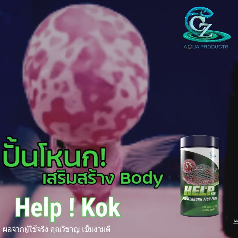 อาหารปลาหมอสี Help monster kok(อาหารช่วยพัฒนาโหนกและโครงสร้าง)