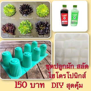 ชุดปลูกผัก สลัด ไฮโดรโปนิกส์ DIY สุดคุ้ม สำหรับผู้ที่รักสุขภาพ อยากทดลองปลูกผักทานเองที่บ้าน สามารถปลูกได้ 20 ต้น