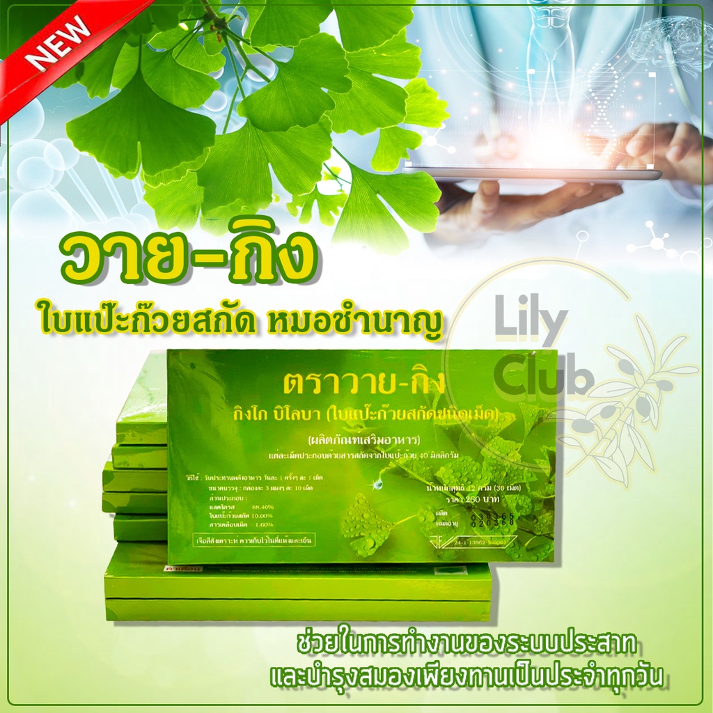 วาย-กิง ใบแปะก๊วย ตรา Y-GINK ขนาด 30 เม็ด สารสกัดใบแปะก๊วย และ บิโลบา บำรุงสมอง บำรุงสายตา เพิ่มการไ