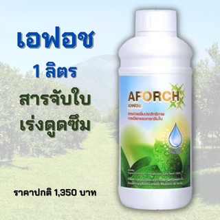 เอฟอช Aforch สารจับใบ ปุ๋ยน้ำเอฟอช ( 1 ลิตร 1 ขวด ) ชนิดเร่งดูดซึมไว ของแท้ 100%