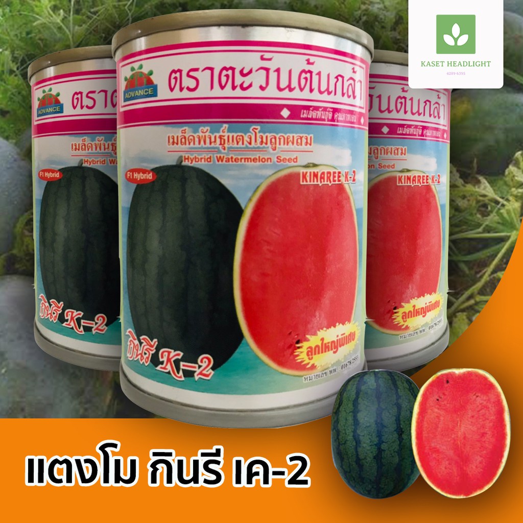 กินรี K-2 K2 เมล็ดพันธุ์แตงโม 40กรัม แตงโมกินรี