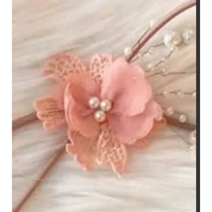 ลูกไม้สีหวานลูกกวาด สีพาสเทลน่ารัก