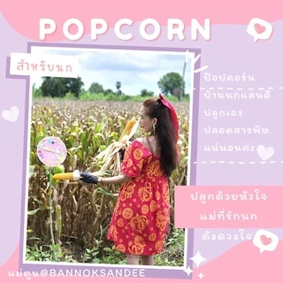 ข้าวโพด ป๊อปคอร์น สำหรับนก เหมาะกับนกทุกขนาด