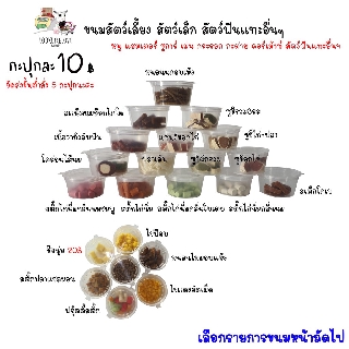 🍰((ขนมมาใหม่)) แฮมสเตอร์  ชูการ์ กระรอก กระต่าย เม่น ดอร์เมาส์ สัตว์ฟันเเทะอื่นๆกะปุกละ10฿