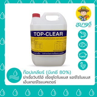 BKC 80% ท๊อปเคลียร์ TOP CLEAR ฆ่าเชื้อแบคทีเรีย ไวรัส เชื้อรา โรคหัวเหลือง เชื้อรา ไวรัสในบ่อ สบายดีซัพพลายแอนด์โค