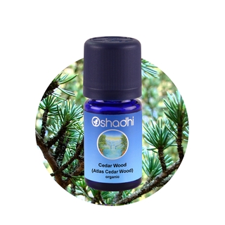  Oshadhi Cedar Wood (Atlas Cedar Wood) organic Essential Oil น้ำมันหอมระเหย (10ml)