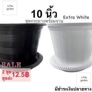 Little ชุดกระถางพร้อมจาน 10 นิ้ว(สีขาวออร่าA+🤍)(หลายขนาด 8(7.5”)นิ้ว 6 นิ้ว)