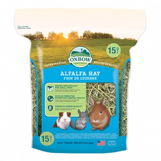 Oxbow ALFALFA HAY อัลฟาฟ่า 15 oz. 425 กรัม