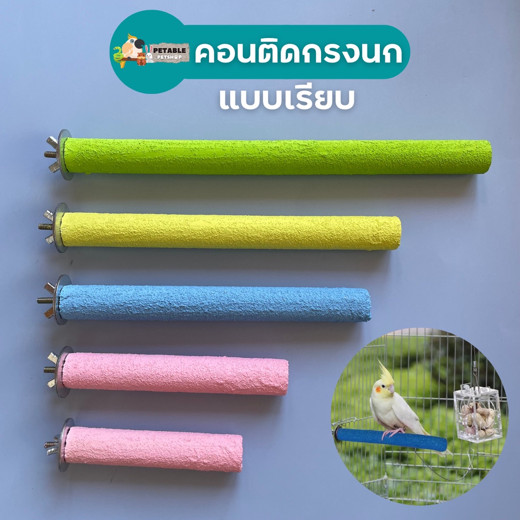 PetAble คอนลับเล็บนก แบบเรียบ (คละสี) ที่ยืนสำหรับนก ติดกับกรงได้ แข็งแรงทนทาน ไม่เป็นอันตราย ติดกรงนก