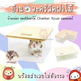 ร้านโทโมะ 💕 บ้านกล่อง อะคริลิค ฝาไม้ Chamber House แบรน Hedgehog Planet สำหรับ แฮมสเตอร์ เจอร์บิล