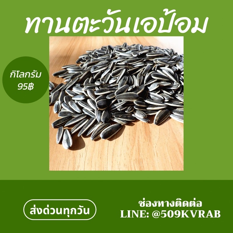 ทานตะวันนก เอป้อม 500 กรัม - รูปที่ 2