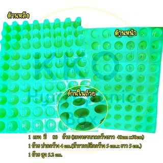 ถ้วยปลูกผักไฮโดรโปนิกส์ สีเขียว (80 ถ้วย ต่อ 1 แผง ) สุดคุ้ม