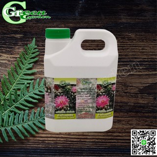 Green Garden อะมิโนโปรตีนสำหรับแคคตัสพร้อมใช้ ชนิดเติม 1 ลิตร (Amino Protein for Cactus)