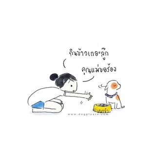 ไก่หยอง ไม่ปรุงรส สุนัขเป็นโรคไตทานได้ สำหรับสุนัขเบื่ออาหารเม็ด 200กรัม (ขนมหมา,ขนมแมว,อาหารสุนัข)(