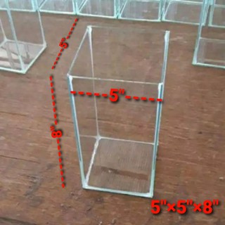 เหลี่ยมปลากัด โหลปลากัด ปลาหางนกยูง กระจกหนา 3 มม.