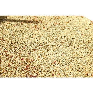 PK French Roast ขนาด 1,000g. เมล็ดกาแฟคั่วเข้มมาก ”ดอยปางขอน” ส่งไว คั่วใหม่