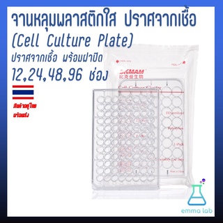 จานหลุมพลาสติกใส ปราศจากเชื้อ Cell Culture Plate 12,24,48,96 ช่อง