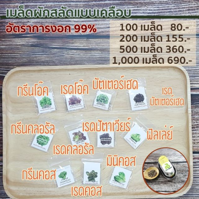 Best saller เมล็ดผักชนิดเคลือบ จำนวน 100,200,500 เมล็ด เมล็ดฟ้าทะลายโจร เมล็ดแคนตัส เมล็ดผัก เมล็ดพืช กล้วยไม้