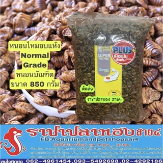 หนอนไหมอบแห้ง สำหรับปลา เร่งโต โปรตีนสูง Normal Plus ขนาด 850 กรัม