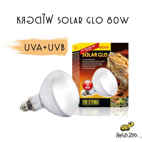 Exo Terra Solar Glo 80W หลอดไฟจำลองแสงอาทิตย์ ให้ความร้อน รังสี UVA+UVB ในหลอดเดียวจบ