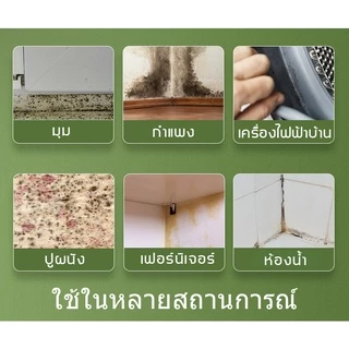 น้ำยาฆ่าเชื้อรา น้ำยากำจัดเชื้อรา กำจัดเชื้อรา เชื้อรา คราบเชื้อรา น้ำยาฆ่าเชื้อรา​แบบสเปรย์ น้ำยากำจัดคราบสิ่งสกปรกผนัง