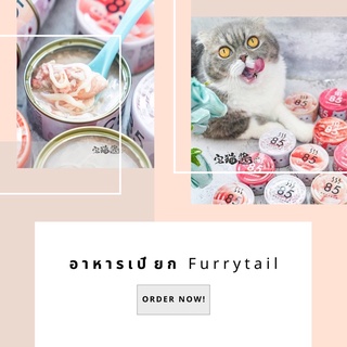 อาหารเปียก Furrytail 85 องศา