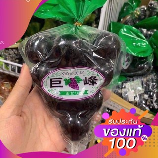 พร้อมส่ง‼️ Kyoho grape jelly เยลลี่องุ่นเคียวโฮแท้ 100% เพื่อความอร่อย ฟิน แนะนำให้แช่ตู้เย็นก่อนกิน