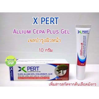 (มาใหม่) XPERT Scar Gel 10g ลดรอยแผลเป็น สารสกัดจาก ต้นเลือดมังกร และ Allium Cepa เข้มข้น