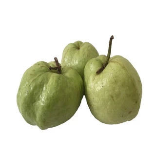 ฝรั่งกิมจู 1กิโล - ฝรั่งสดสะอาด ผักผลไม้สดใหม่