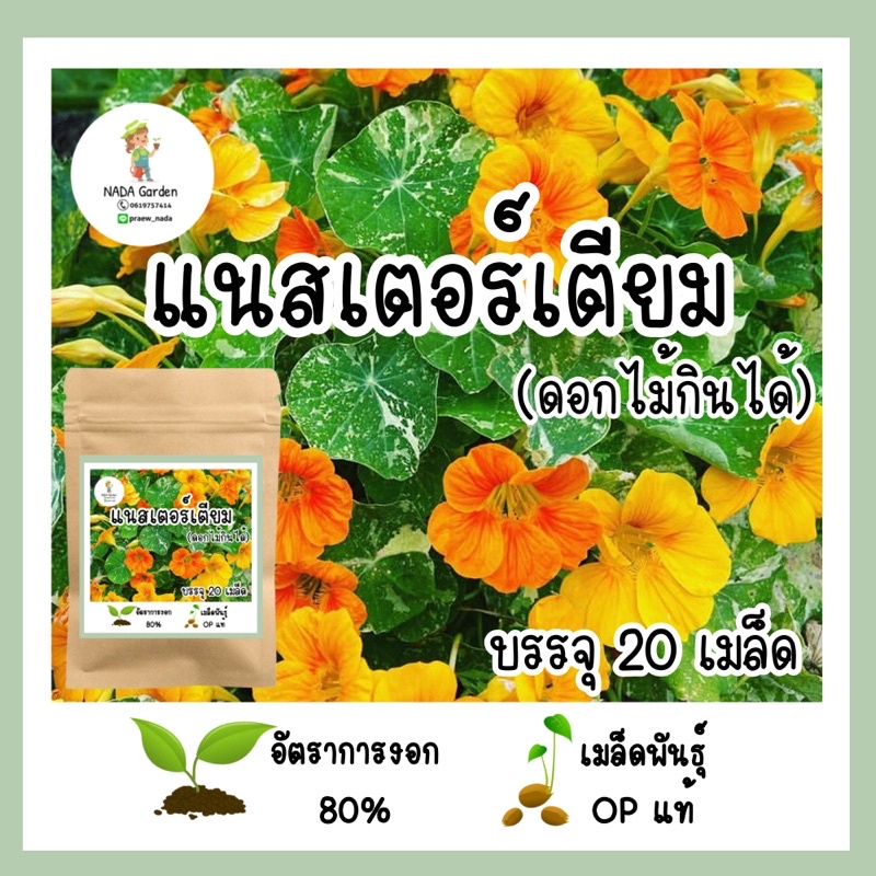 เมล็ดพันธุ์ แนสเตอเตียม คละสี(ดอกไม้กินได้) 20 เมล็ด