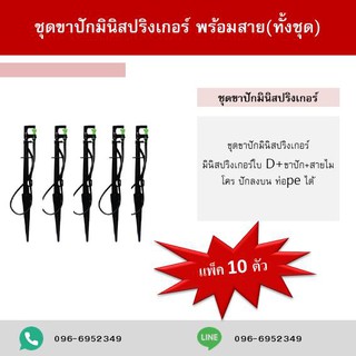 มินิสปริงเกอร์ใบ D+ขาปัก+สายไมโคร (แพ็คละ 10 ตัว) สุดคุ้ม❗❗