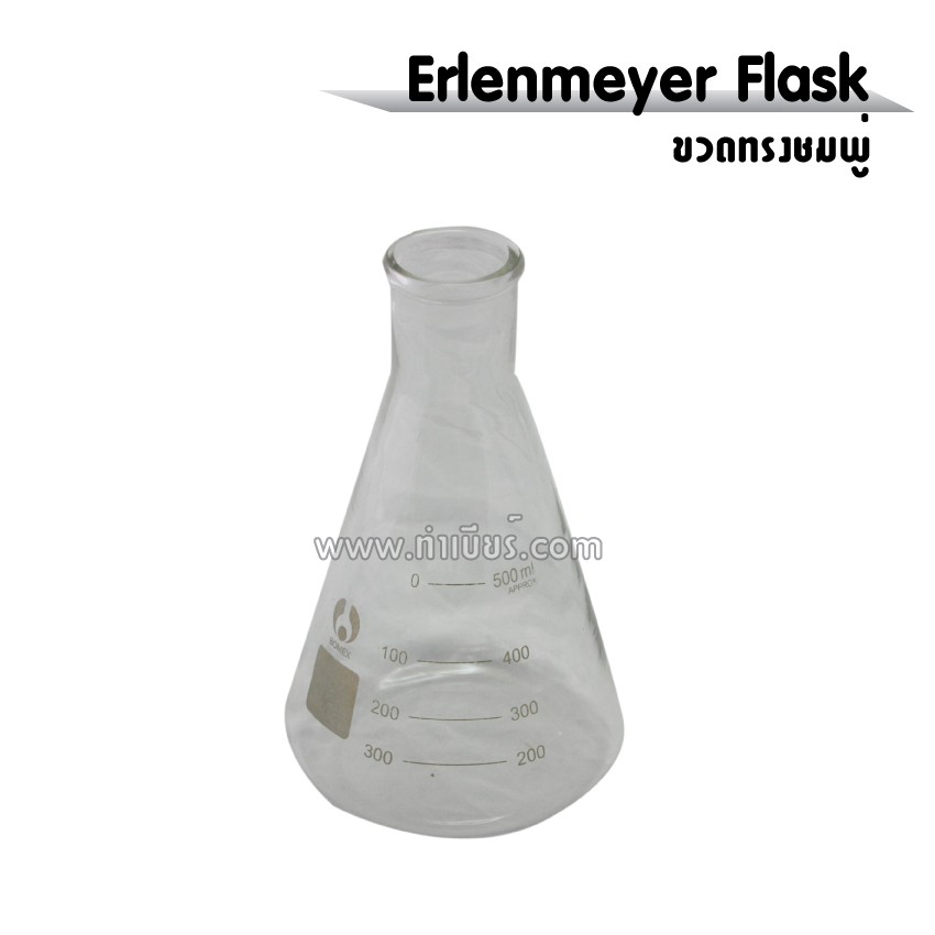 ขวดรูปชมพู่ (Erlenmeyer Flask) ขนาดต่างๆ