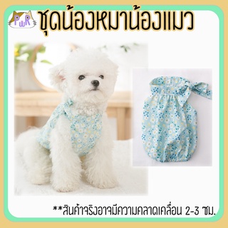 เสื้อหมา เสื้อแมว ชุดสัตว์เลี้ยง pet costume