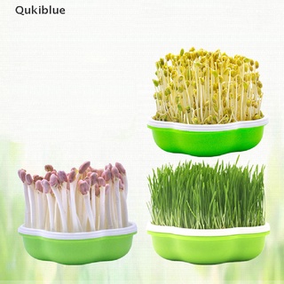 Qukiblue กล่องปลูกถั่วงอก ไฮโดรโปนิก ถั่ว ข้าวสาลี ต้นกล้า ถาดเพาะเมล็ด