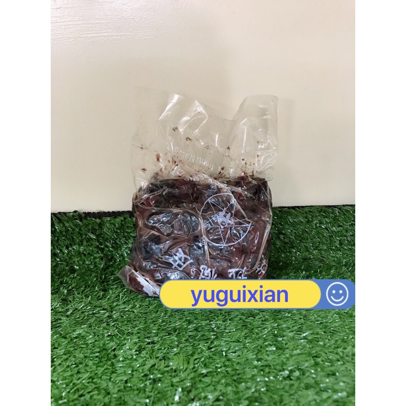 หนำเลี๊ยบ(特选榄皮) เนื้อหนำเลี๊ยบ ขนาด500กรัม  เนื้อหนำเลี้ยบล้วนๆ(แกะเม็ดแล้ว) ราคา ถูกที่สุด ดีลบีเคเค แกลเลอรีภาพที่ 3