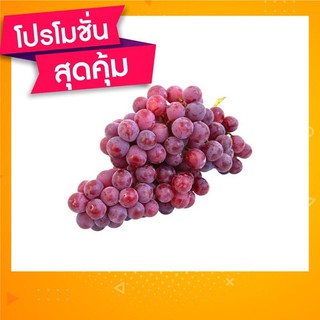 เมล็ดพันธ์ต้นองุ่น พร้อมปลูก ออกลูกชัวร์🍇50 เม็ด