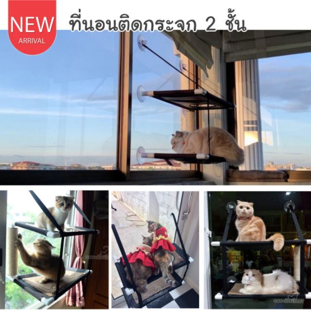 CatHoliday sunny seat ที่นอนแมวติดกระจก
