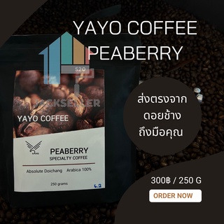 กาแฟเพียเบอรี่ YAYO Peaberry กาแฟดอยช้างอาราบิก้า🥨☕ 100% คั่วอ่อน/คั่วกลาง/คั่วเข้ม บรรจุถุง 250 กรัม js99