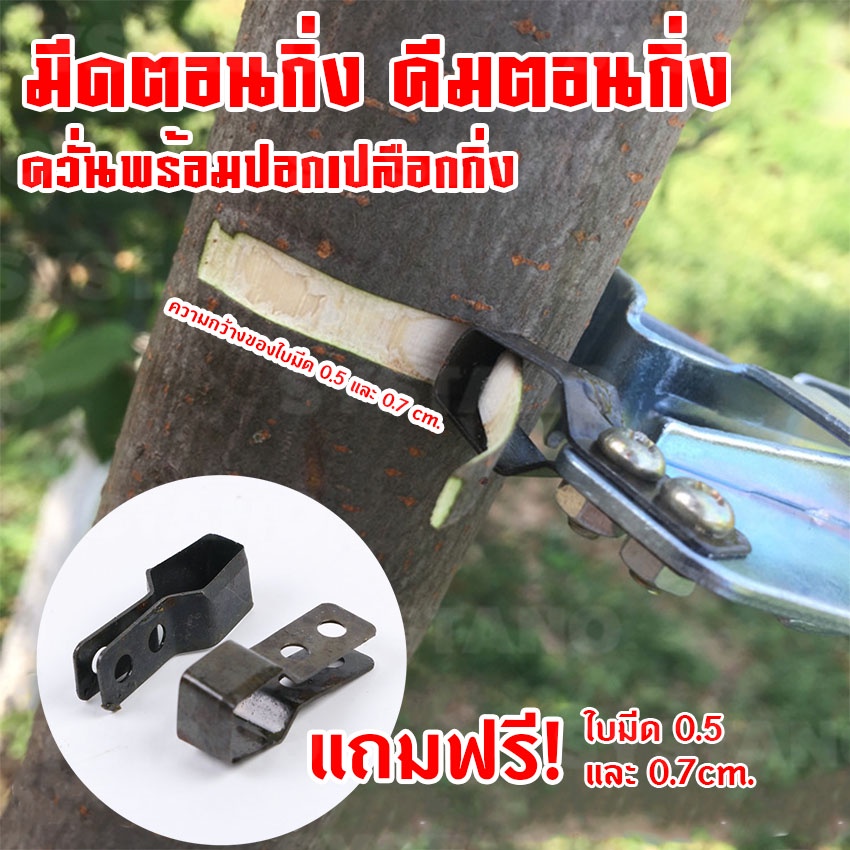 Systano (ส่งจากไทย) มีดตอนกิ่ง คีมตอนกิ่ง  2 ใบมีด ขนาดกิ่ง 2-6 เซนติเมตร No.KS061