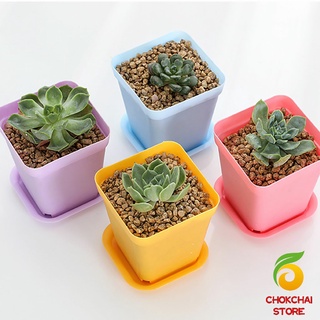 Chokchaistore กระถางต้นไม้พลาสติก พร้อมถาดรอง กระถางขนาดเล็ก  Plastic flowerpot