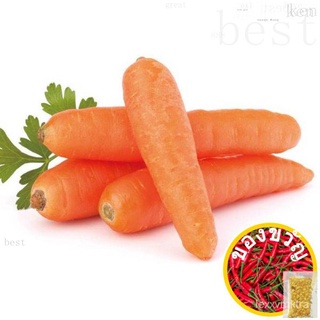 50.Carrot Seeds 150pcs Free Postal Mail in SG€ ต้อนรับผักกาดหอม/ผู้ชาย/สร้อยข้อมือ/แม่และเด็ก/กางเกง/มะละกอ/หมวก/สวน/เมล