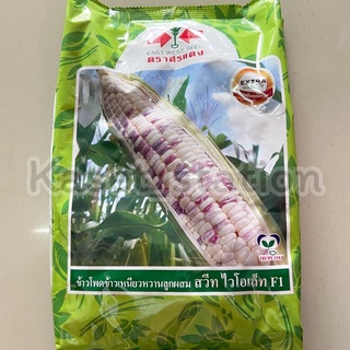 เมล็ดข้าวโพดข้าวเหนียว 1 kg.ขาวม่วง สวีทไวโอเล็ทF1