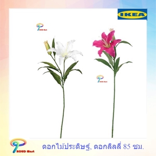 IKEA ต้นไม้ปลอม ไม้ประดิษฐ์ ดอกไม้ประดิษฐ์, ดอกลิลลี่, ขาว,ชมพู 85 ซม.