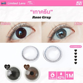 คอนแทคเลนส์ คอนแทคเลนส์รายเดือน Mini Lens รุ่น Rose Gray เทาครีม