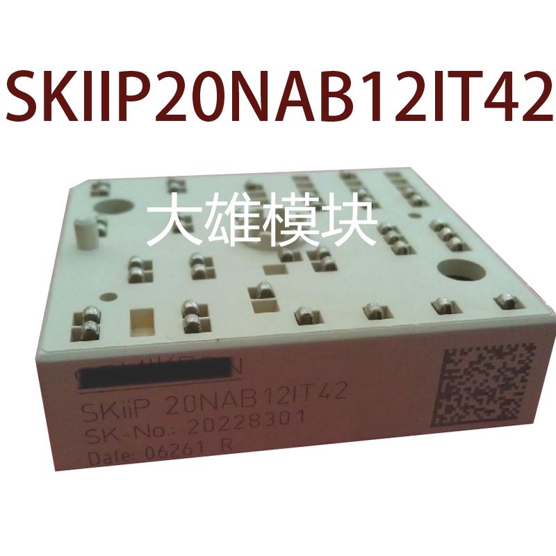 SZ SKIIP20NAB12IT42 SKIIP 20 NAB 12 IT 42 สินค้า