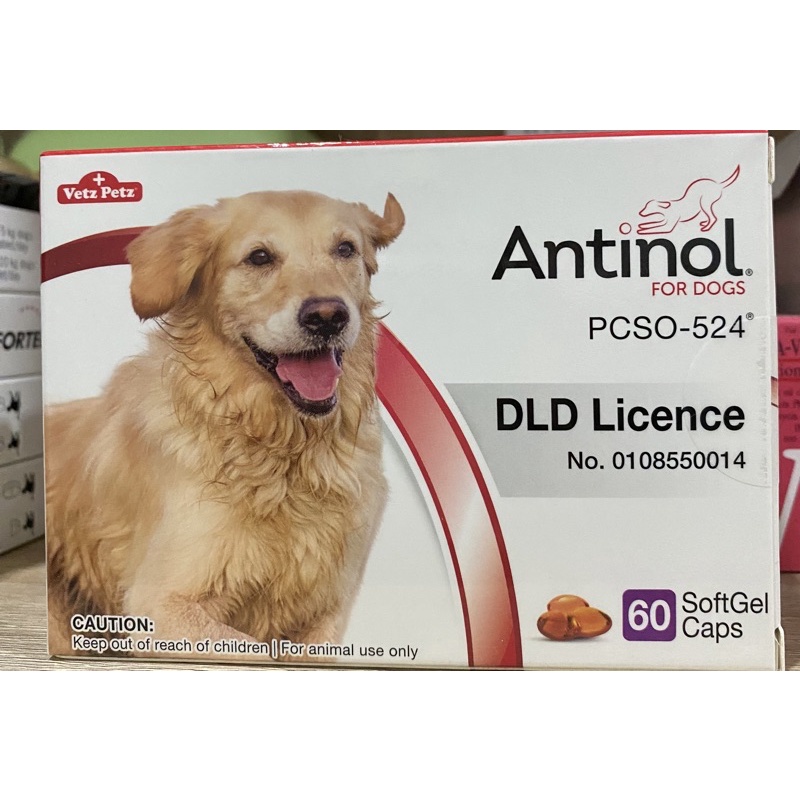 Antinol for dog 60 แคปซูล