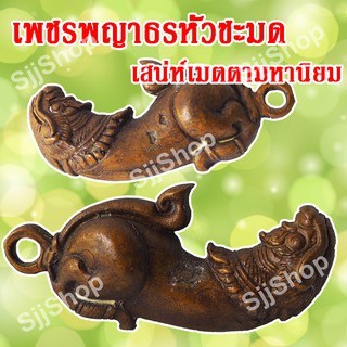 ปลัดหัวชะมดเพชรพญาธร หรือ ทิพยาธร พร้อมจัดส่ง 1-3 วันได้รับ