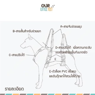 ผ้าพยุงสุนัขหน้า - หลัง รุ่น Tail UP