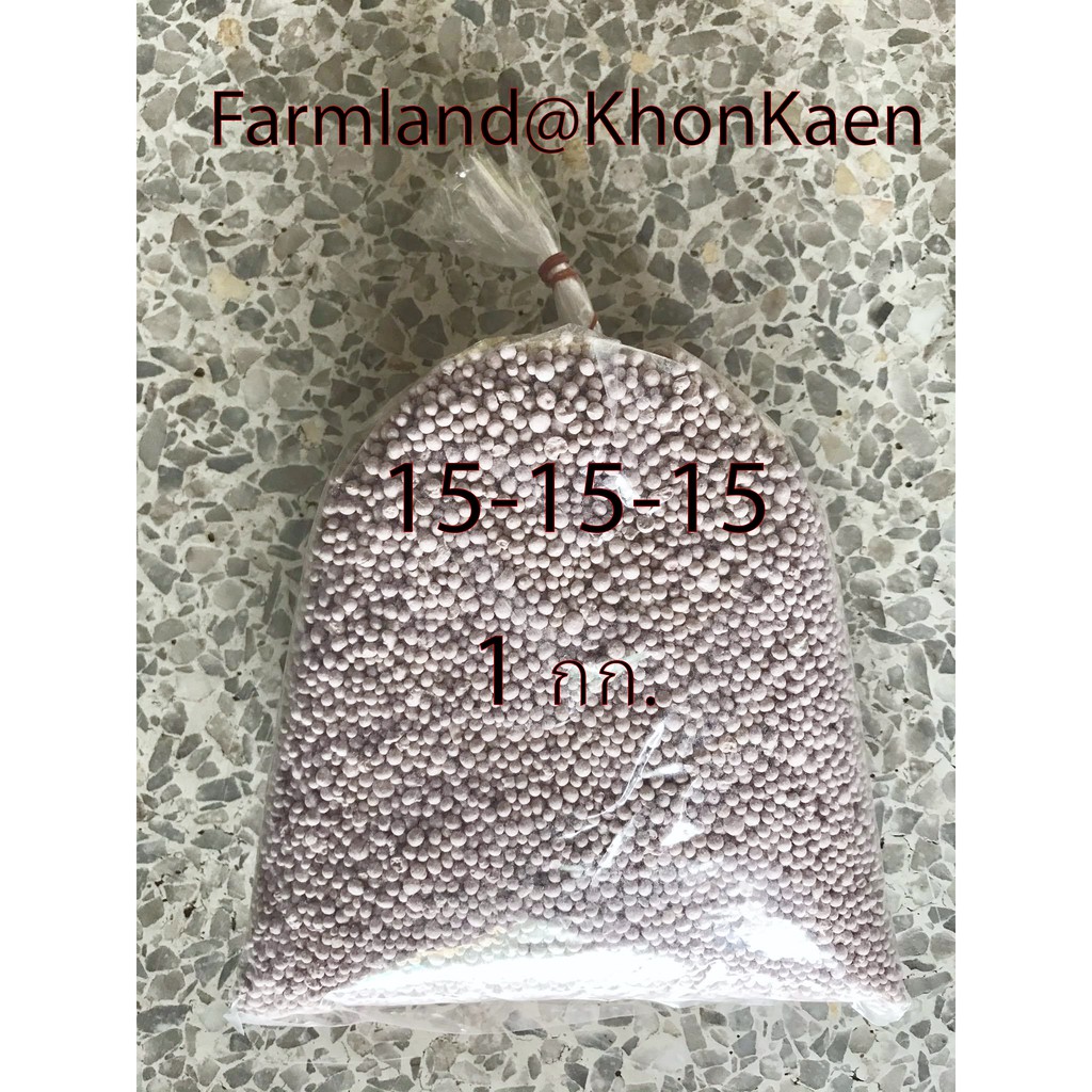 ป ยเคม ป ย ส ตร 15 15 15 ขนาด 1 ก โลกร ม ตรา กระต าย 25